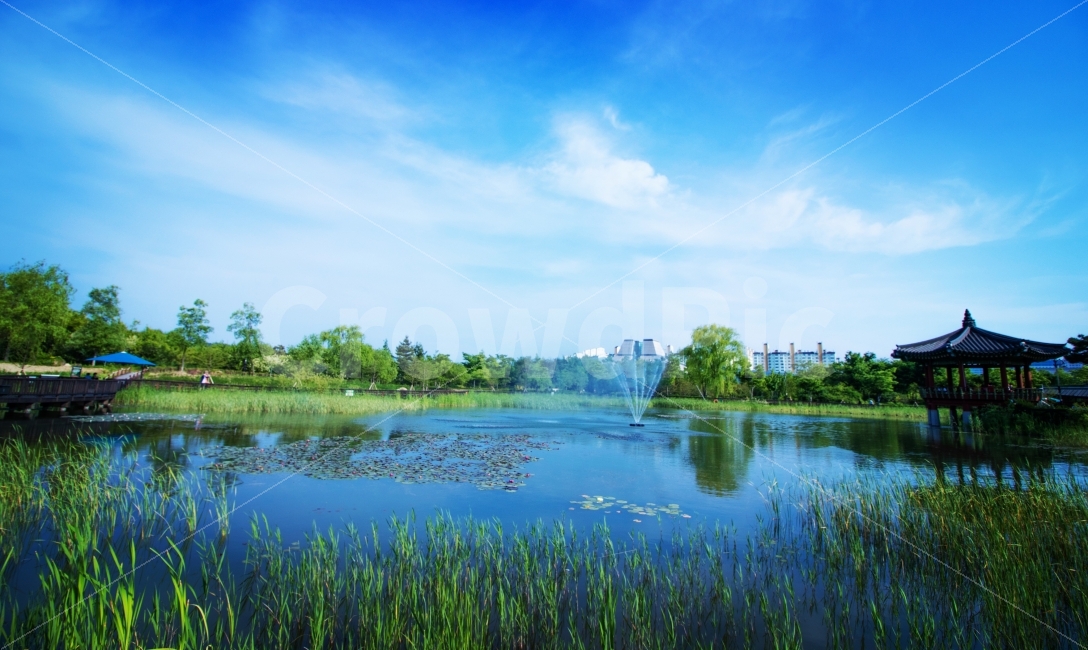한밭수목원,대전,풍경,광각,일상,공원,봄,나들이,맑은날,자연,풍경,nature,landscape,여름,계절,summer,season,grass,잔디,plant,식물,water,물,outdoors,옥외,land,땅