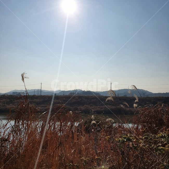 light,빛,flare,플레어,자연,outdoors,옥외