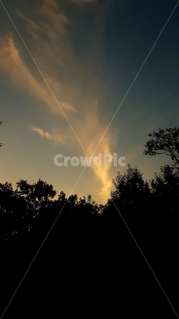 하늘,노을,숲,풍경,구름,자연,풍경,nature,landscape,silhouette,실루엣,outdoors,옥외,weather,날씨