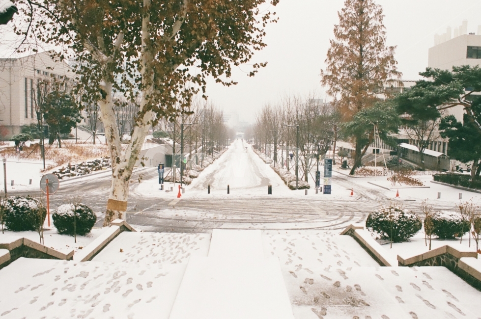 풍경사진,풍경,겨울,겨울사진,winter,landscape,계절,날씨,season,weather,눈,눈길,snow,거리,도로,street,road,도시,city,건물,건축,겨울,계절,winter,season,감성,sensible,feeling