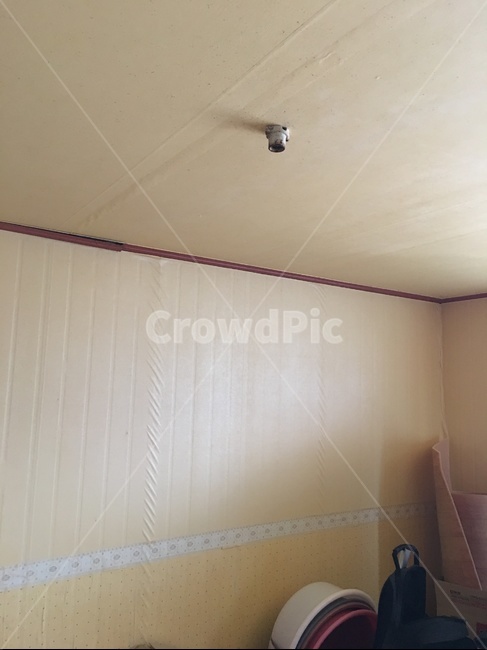 wood,나무,plywood,합판,flooring,floor,바닥,전구소켓