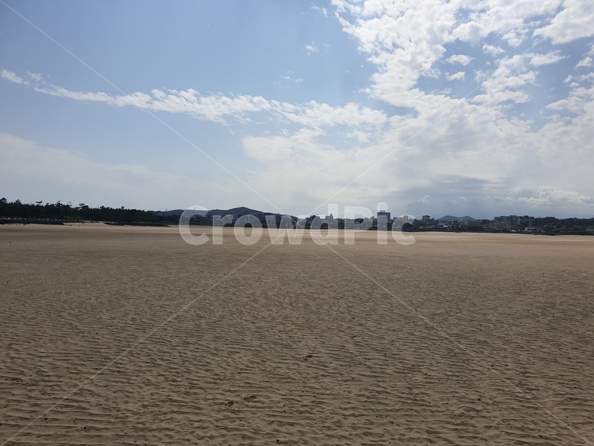 해변,파다,하늘,평야,모래