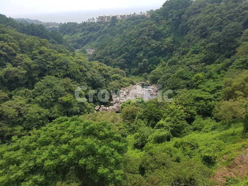 green,curve,nature,tree,mountain range,summer,Made in Korea,Valley,sight,natual,miuntain
