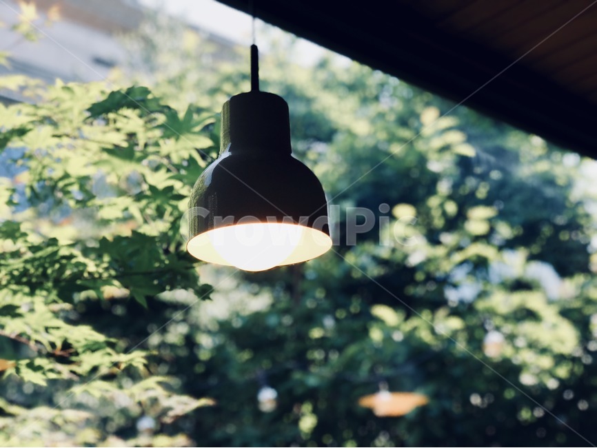 오후,전등,불빛,전구,식물,감성,sensible,feeling,인테리어,실내디자인,interior design