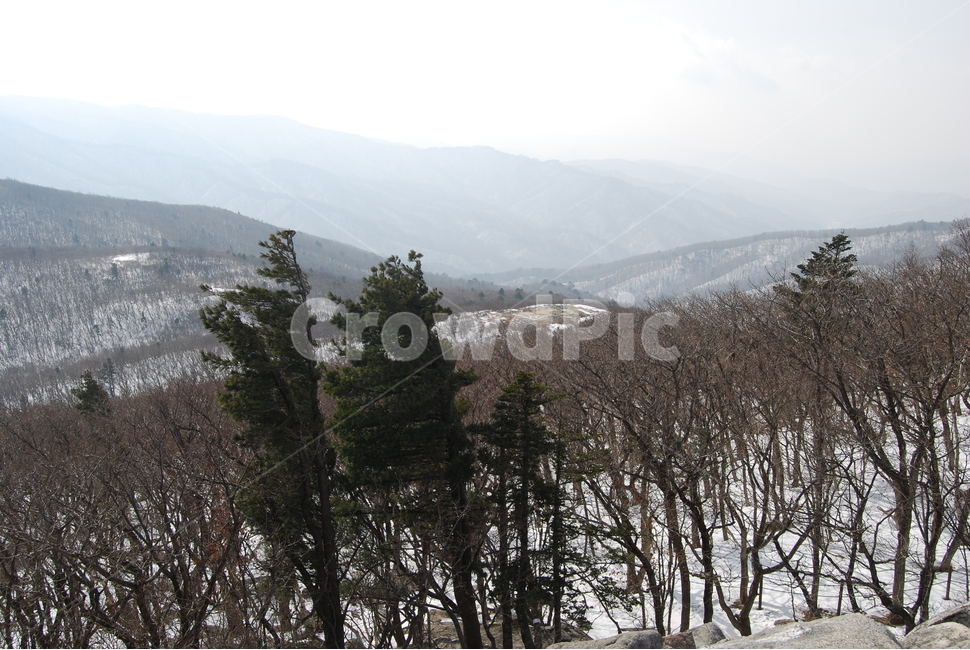 노인봉,오대산,100대명산,소금강,강원,산행,힐링,자연,감성,등산,계절,여행,한국,한국명산,한국등산,풍경,눈,나무,하늘,바람,바람소리,환경,생태계,산,땅,겨울,계절,winter,season,자연,풍경,nature,landscape,한국자연풍경,한국자연경관,korea nature landscape,plant,식물,tree,abies,아비,fir,전나무