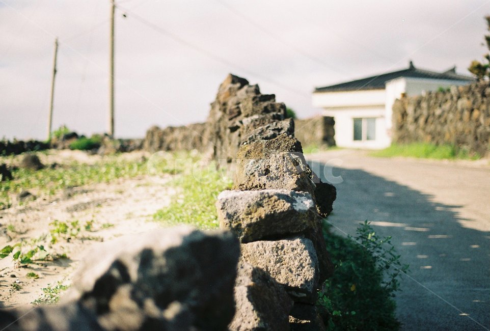 필름카메라,필카,제주도,제주도돌담,필카사진,wall,벽,제주도,jeju,jeju island