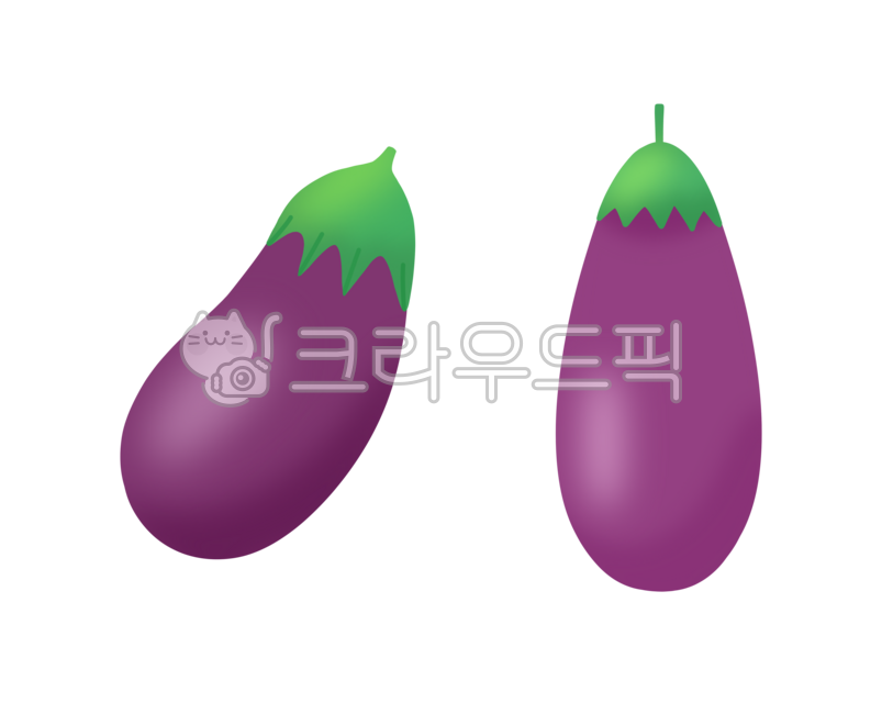 가지, eggplant, 보라색채소, 채소, 야채, 사진,이미지,일러스트,캘리그라피 - olivemango작가