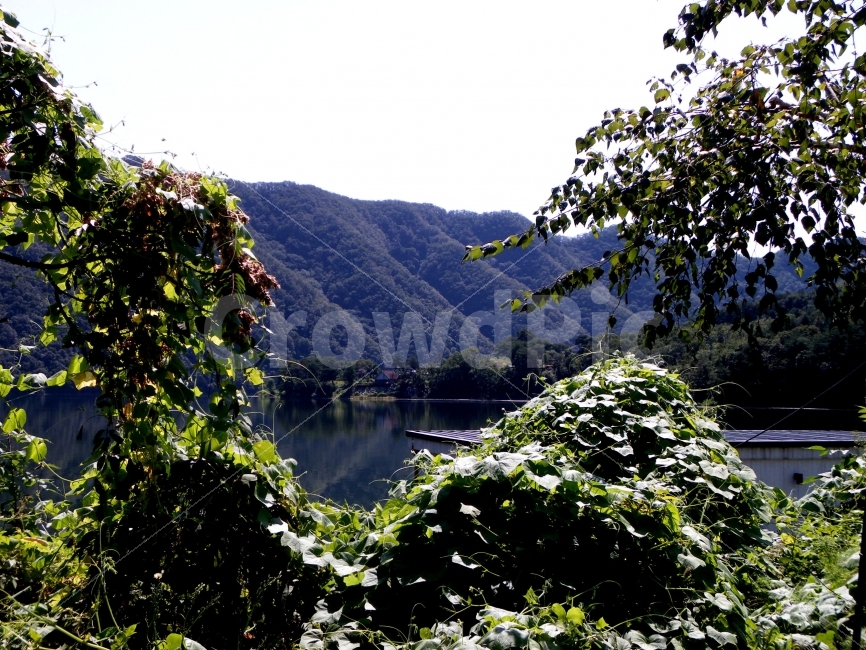 산,강,호수,나무,경치,배경,자연,풍경,nature,landscape,slope,경사,outdoors,옥외