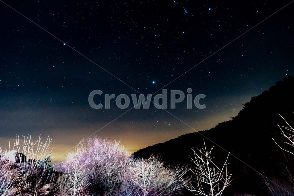 별,stars,산,야경,겨울밤,밤,풍경,반짝반짝,별자리,night,자작나무,겨울나무,자연,풍경,nature,landscape,야경,밤,nightscape,night,outdoors,옥외