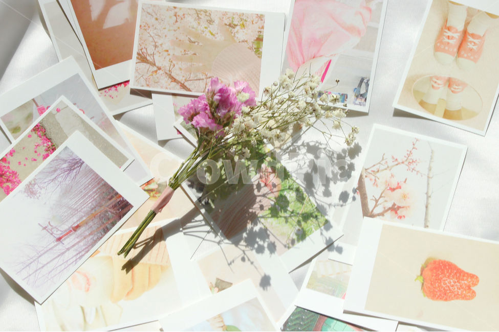 사진,추억,꽃,감성사진,포토,photo,pink,분홍,flower,꽃,flower,감성,sensible,feeling,사물,물건,오브젝트,thing,object,matter