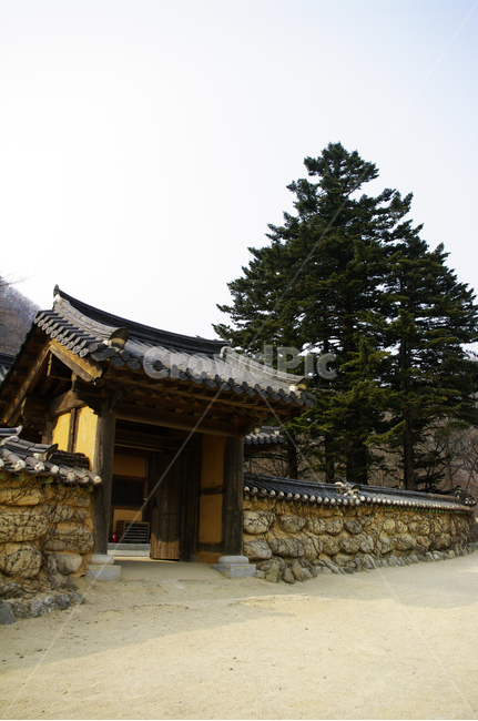 사찰,신흥사,나무,전통,담,기와지붕