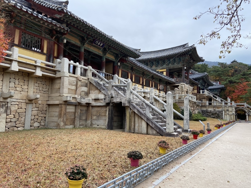 불국사,사찰,한국의멋,불교건물,temple,신전,architecture,건축물,가을,전통문화