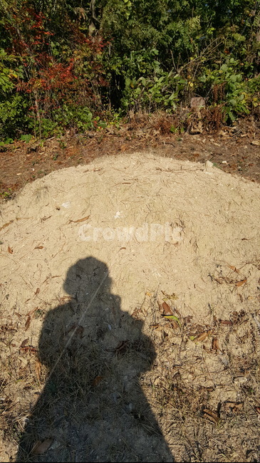 그림자,흙,모래,야외,터,묘,자연,풍경,nature,landscape,사람,인물,인간,human,person,인물실루엣,사람실루엣,character silhouette,human silhouette,ground,바닥,road,도로,gravel,자갈,dirt road,흙길