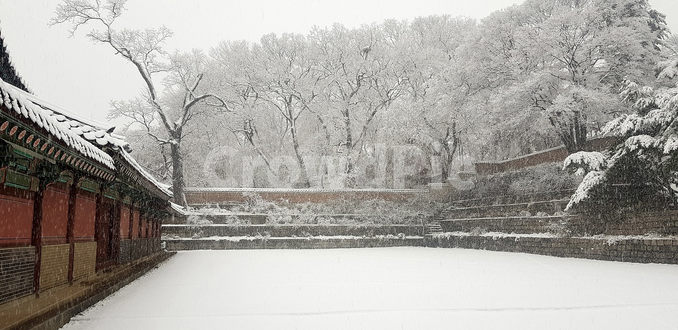 창덕궁,설경,첫눈,서설,고궁,palace,firstsnow,changdeokgungpalace,겨울,계절,winter,season,한국전통,한국문화,korean traditional,korean culture,랜드마크,landmark,tourist attraction,한국랜드마크,한국관광지,한국명소,korea landmark,korea tourist attraction,건축물,건물외관,exterior,building,structure,architecture,construction