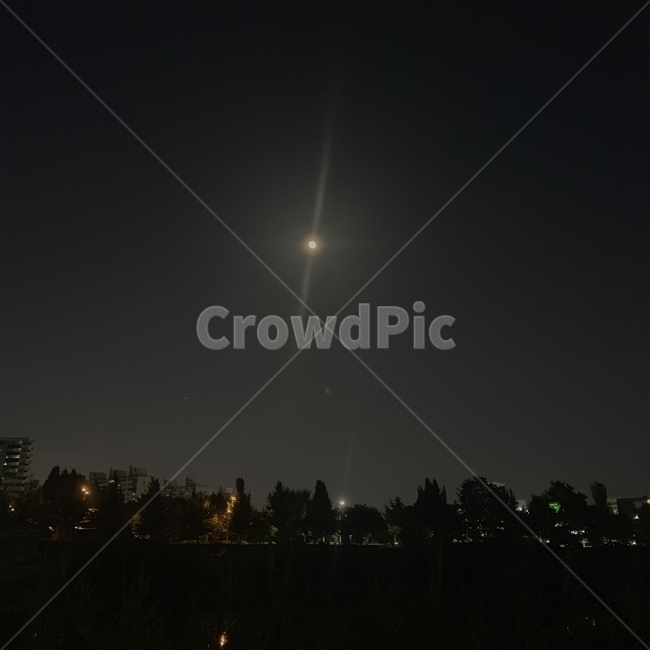 달,야경,밤,달빛,moon
