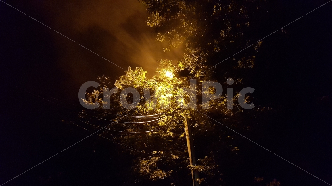 야경,감성,가을,가로등,밤,자연,풍경,nature,landscape,야경,밤,nightscape,night,light,빛,flare,플레어