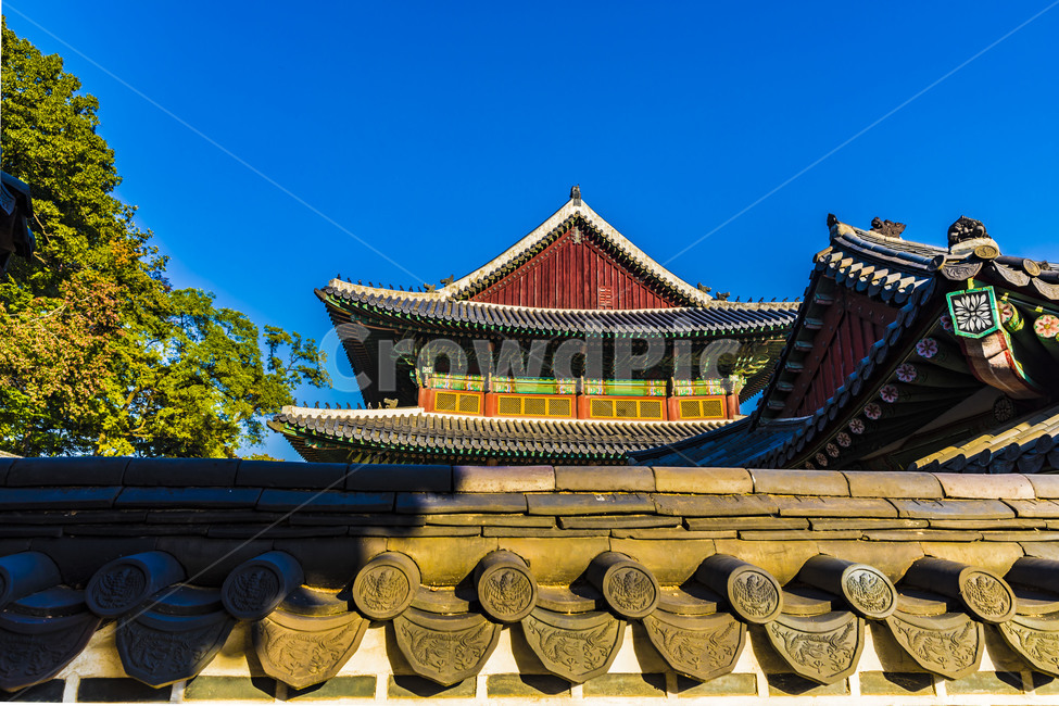 고궁,창덕궁,지붕,기와,문화유산,전통가옥,문화재,기와담장,한국전통,한국문화,korean traditional,korean culture,건축물,건물외관,exterior,building,structure,architecture,construction