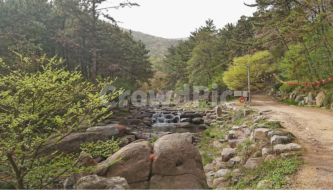 봄,산,숲,계곡,부산,초록,녹색,숲길,숲속,트렉킹,트레킹,자연,풍경,nature,landscape,한국자연풍경,한국자연경관,korea nature landscape,water,물,outdoors,옥외