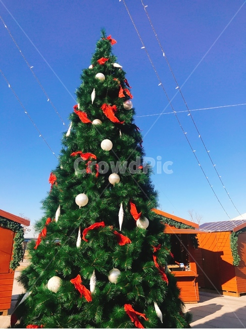 tree,나무,plant,식물,christmastree,크리스마스트리,ornament,장식,트리,그리스마스,한강,메리크리스마스,성탄절,merry christmas