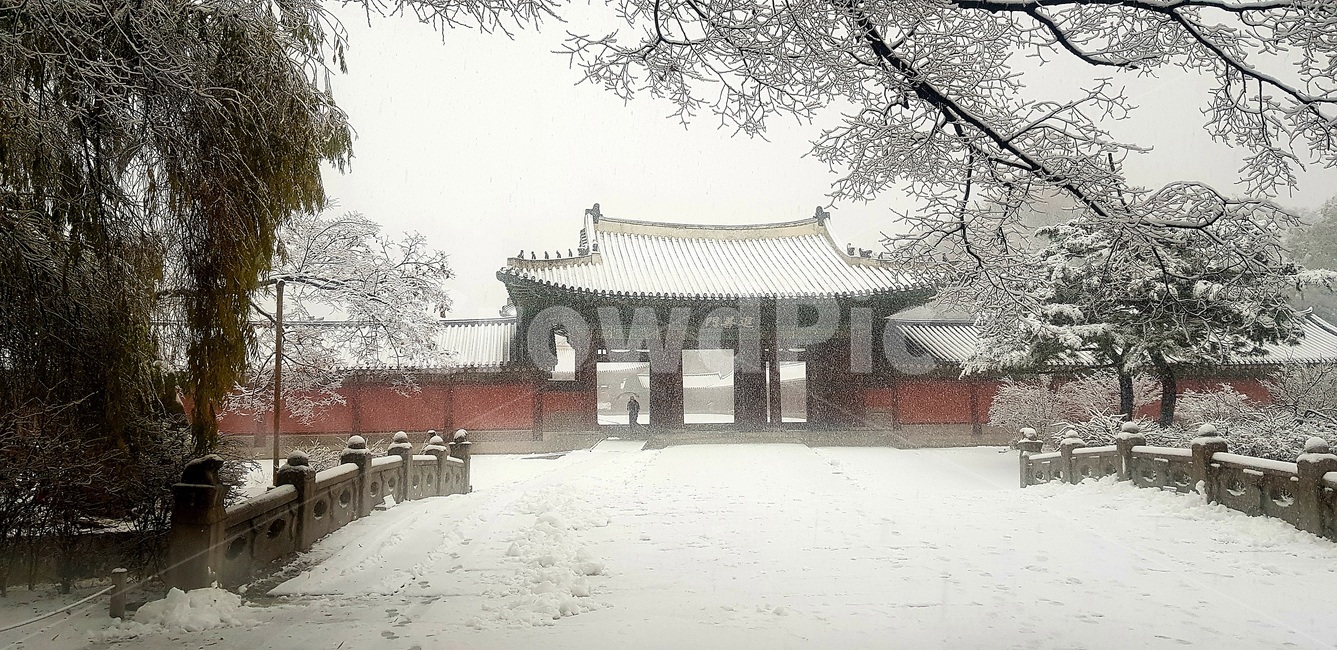 창덕궁,설경,첫눈,서설,고궁,palace,firstsnow,changdeokgungpalace,겨울,계절,winter,season,한국전통,한국문화,korean traditional,korean culture,건축물,건물외관,exterior,building,structure,architecture,construction