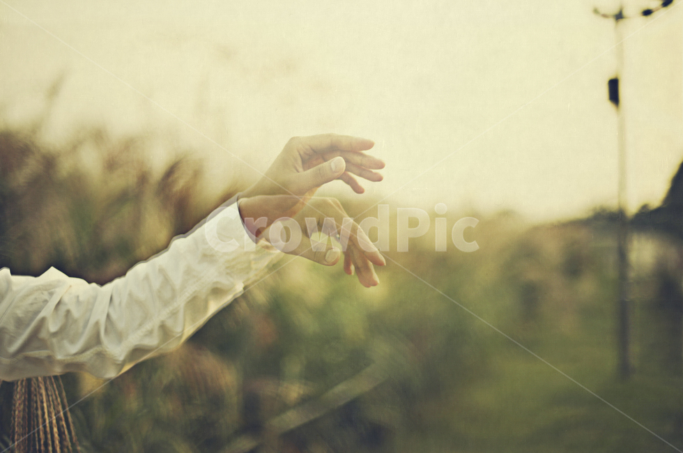 지휘,손,팔,가을,season,autumn,fall,foliage,october,yellow,september,노래,음악,감성,사람,인물,인간,human,person,신체일부,몸,body