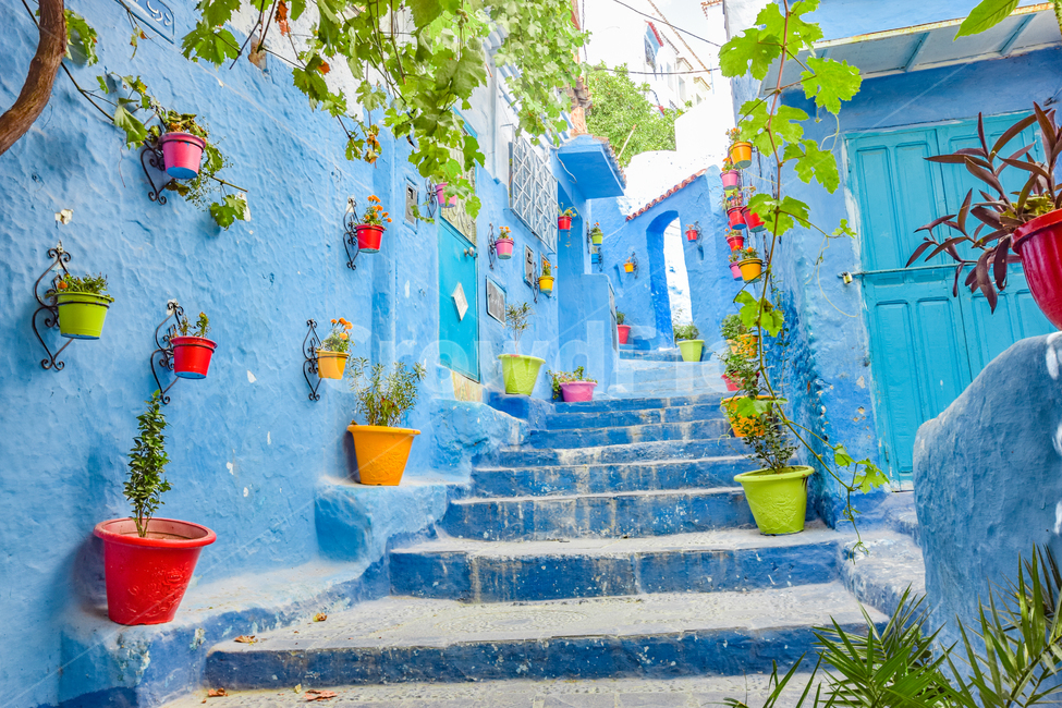 화분,계단,파랑,오르막길,모로코
