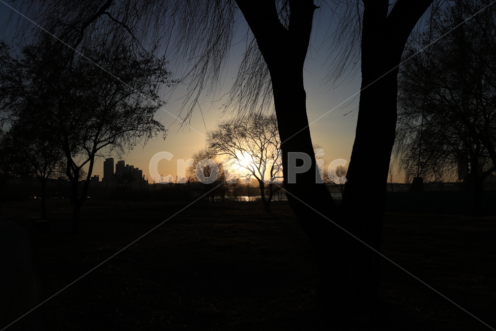 노을,석양,한강,역광,나무,sunset,backlight,hanliver,자연,풍경,nature,landscape,실루엣,그림자,silhouette,shadow,outdoors,옥외