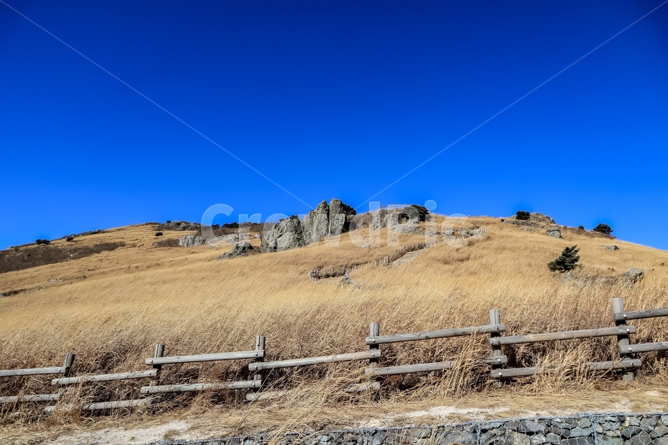 억새평원,영남알프스,간월재,신불산,등산,산,울주군,울산,자연,풍경,nature,landscape,한국자연풍경,한국자연경관,korea nature landscape,outdoors,옥외