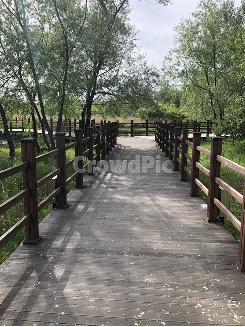 나무,다리,자연,선사유적지,연천군,자연,풍경,nature,landscape,garden,정원,outdoors,옥외,arbour,정자