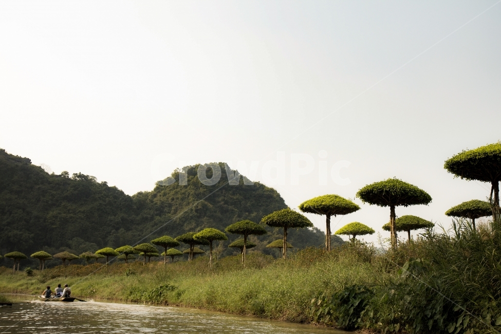 해외여행,베트남,자연,여행,강,자연,풍경,nature,landscape,해외,외국,세계,foreign,oversea,world,세계자연풍경,해외자연풍경,외국자연풍경,world nature landscape,사람,인물,인간,human,person,outdoors,옥외