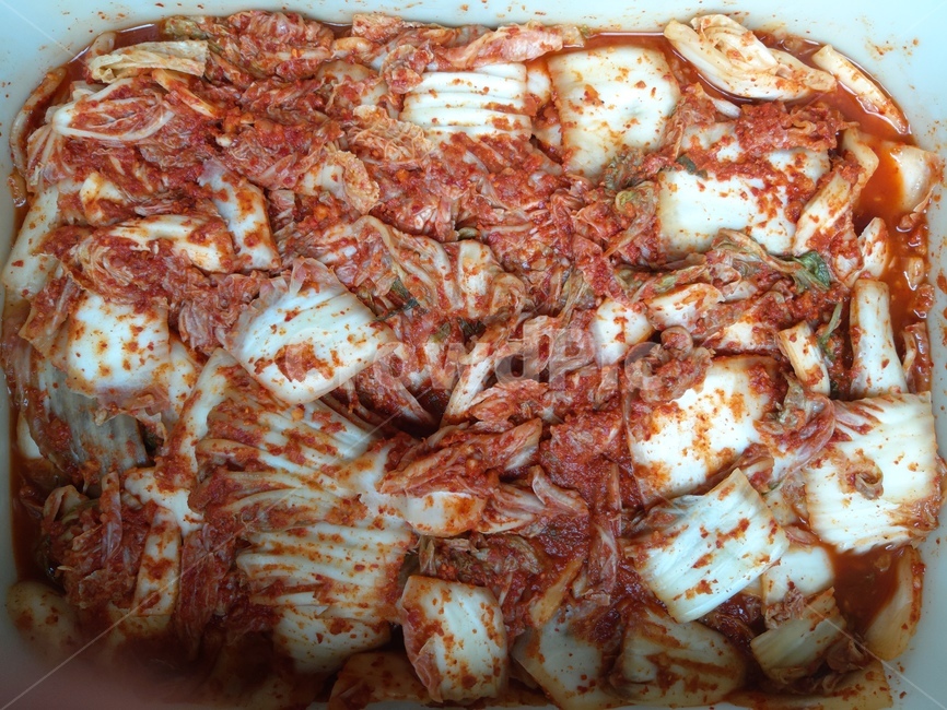 김치,배추,김장,음식,반찬,음식,식재료,요리,food,cook,meal,dishes,food reserves,한식,한국음식,한국요리,korean food,korean dishes,korean meal,korean cook