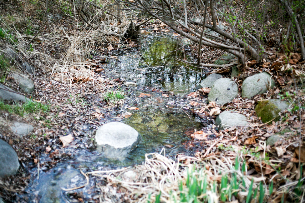 계곡,우거진숲,계곡물,계곡바위,시냇물,자연,풍경,nature,landscape,water,물,outdoors,옥외,land,땅