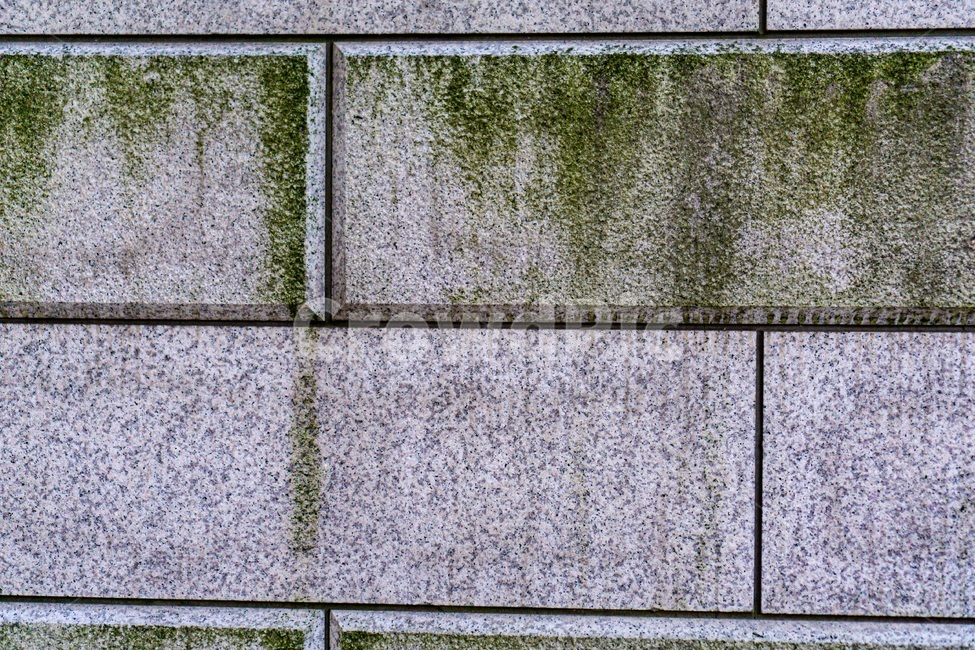 이끼,돌,벽,석재,돌벽,보도,벽돌,블록,풀,오래된,텍스처,질감,패턴,texture,pattern