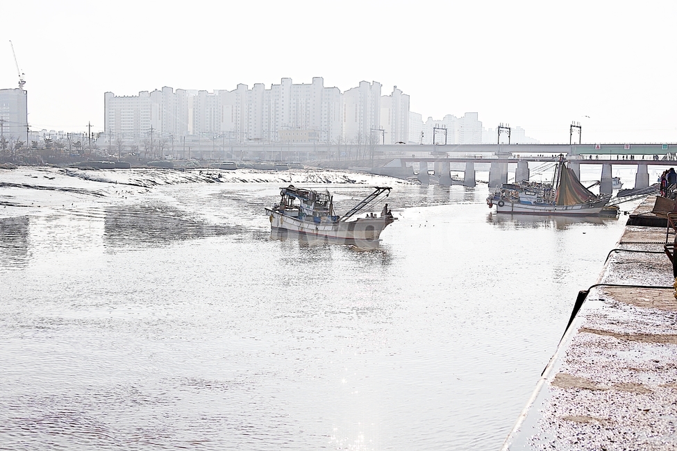배,선박,어선,고기잡이배,소래포구,바다,자연,풍경,어업,어부