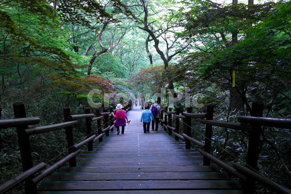 데크계단,나무계단,마이산,등산객,forest,숲,나무,tree,녹음,노인,봄,산행,취미,여가,쉼,habbit,나들이,관광,여행,tour,travel,진안군,outdoors,person,stairs
