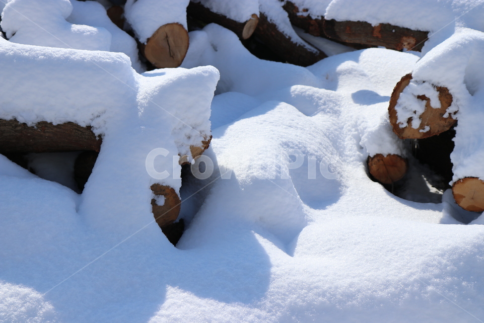 눈,장작,겨울풍경,사진,풍경사진,겨울,계절,winter,season