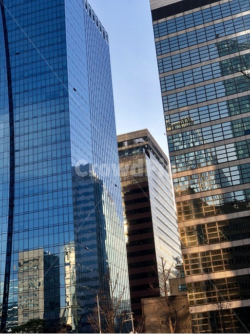 빌딩,오후,햇빛,빛,고층빌딩,도시,풍경,city,landscape,한국도시풍경,한국도시경관,korea cityscape,건축물,건물외관,exterior,building,structure,architecture,construction,비즈니스,사업,business,service,work,office building,사무실 건물,건물