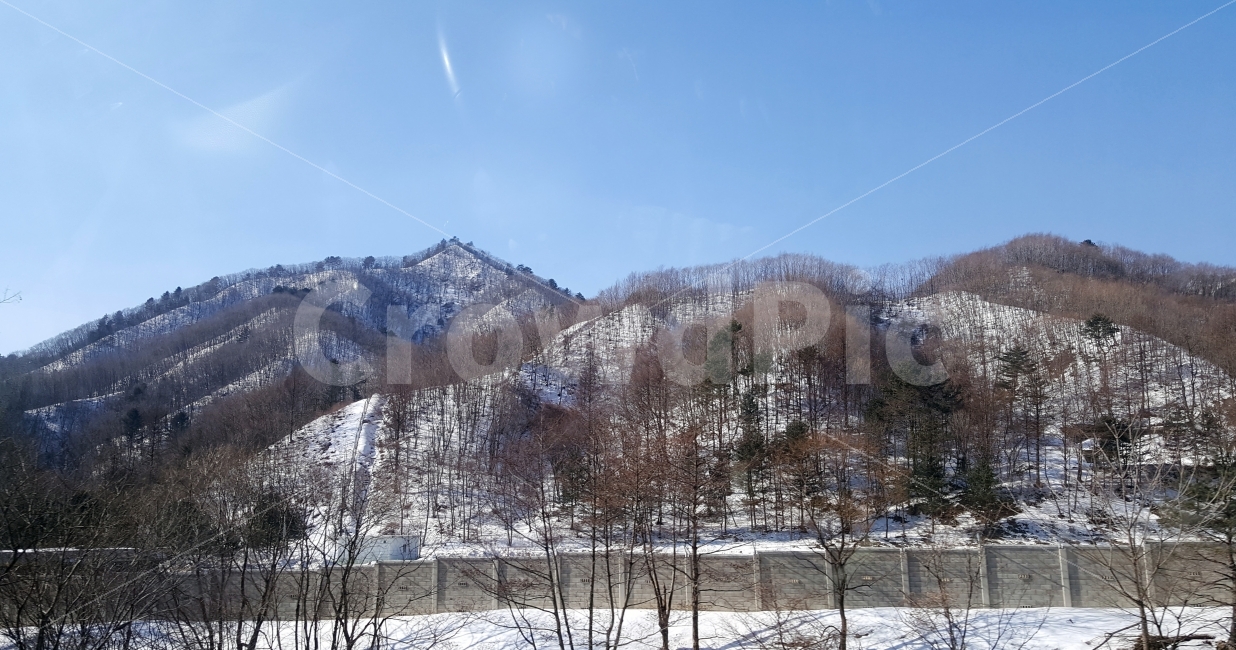 겨울산,눈,겨울나무,겨울풍경,나무,자연,풍경,nature,landscape,겨울,계절,winter,season,outdoors,옥외,mountain,산,mountain range,산맥,tree,plant,식물
