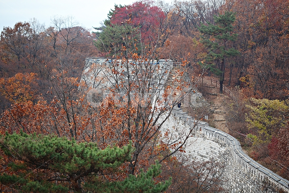 남한산성,성,성곽,단풍,낙엽,길,둘레길,담,돌담,가을,자연,풍경,벽,울긋불긋,산성,식물,가을,계절,fall,autumn,season