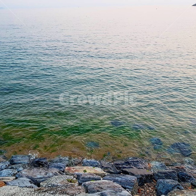 바다,백사장,파도,물,해변,깨끗한,맑은,오션,휴가