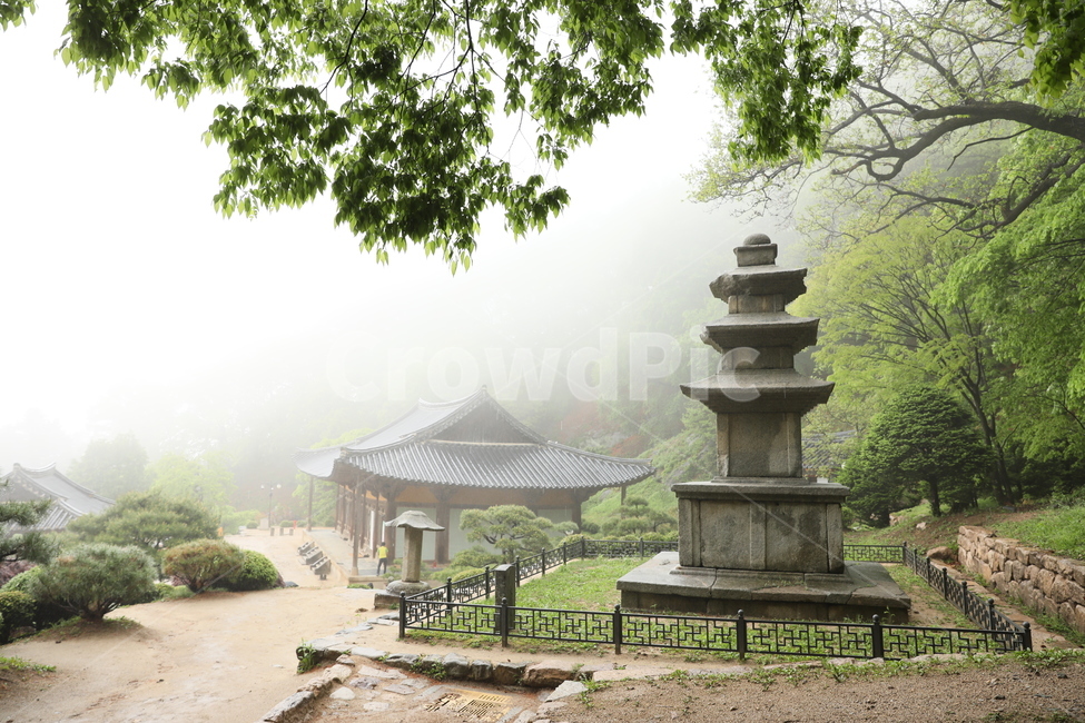 부석사,무량수전,사찰,안개,전통가옥,우중,석탑,석등,한국전통,한국문화,korean traditional,korean culture,조각상,동상,석상,조형물,statue,bronze statue,stone statue,종교,신앙,religion,belief,faith,건축물,건물외관,exterior,building,structure,architecture,construction