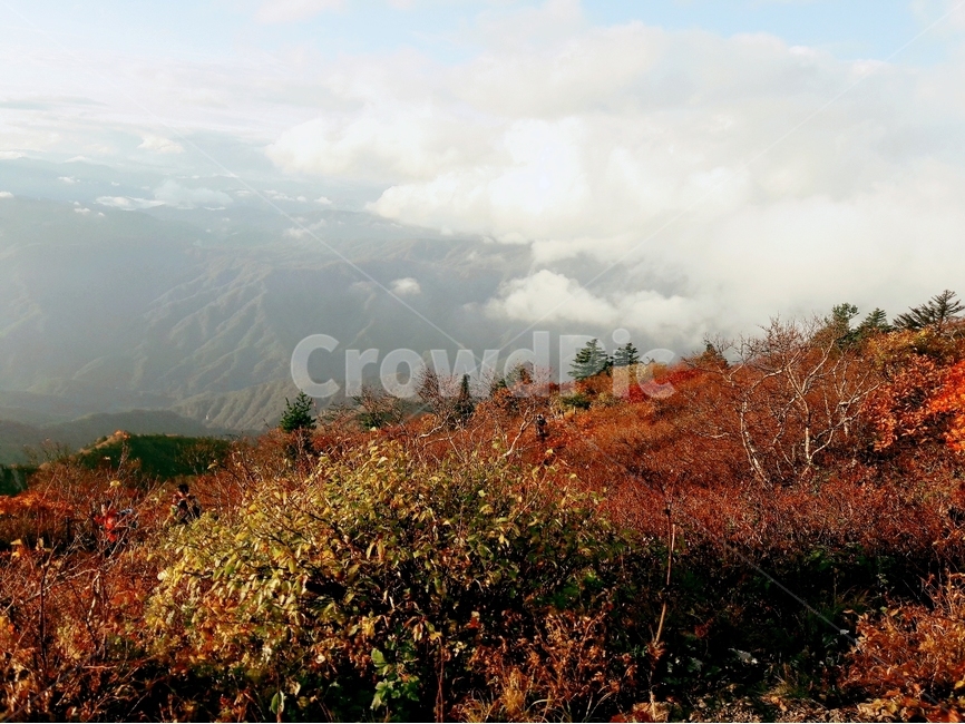 설악산,한국의산,설악산국립공원,공룡능선,천불동계곡,한국의가을,단풍,구름,한국의산하,아름다운산,바위,암봉,가을,계절,fall,autumn,season,자연,풍경,nature,landscape,한국자연풍경,한국자연경관,korea nature landscape,weather,날씨,outdoors,옥외,plant,식물,tree,나무
