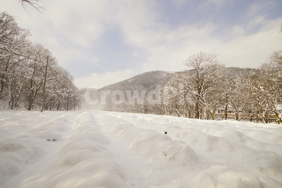 선운사,고창,설경,사찰,풍경,겨울,계절,winter,season,자연,풍경,nature,landscape,outdoors,옥외,storm,폭풍,snow,눈,blizzard,눈보라