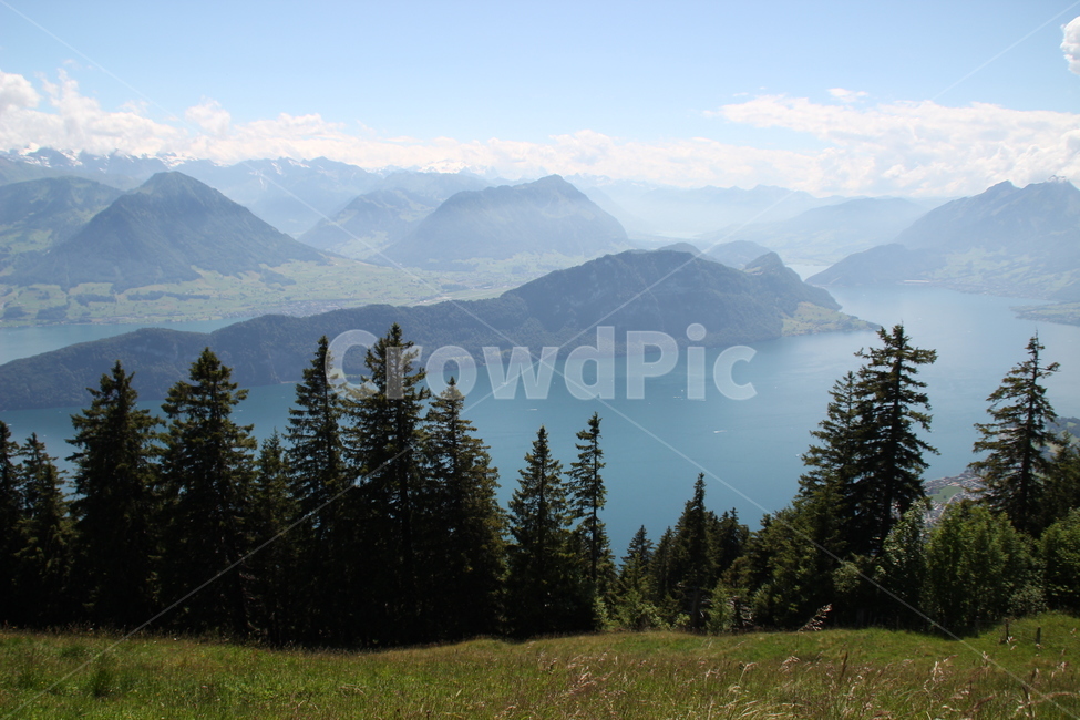 스위스,리기산,호수,swiss,rigimountain,lake,자연,풍경,nature,landscape,해외,외국,세계,foreign,oversea,world,세계자연풍경,해외자연풍경,외국자연풍경,world nature landscape,tree,나무,plant,식물,abies,아비,fir,전나무