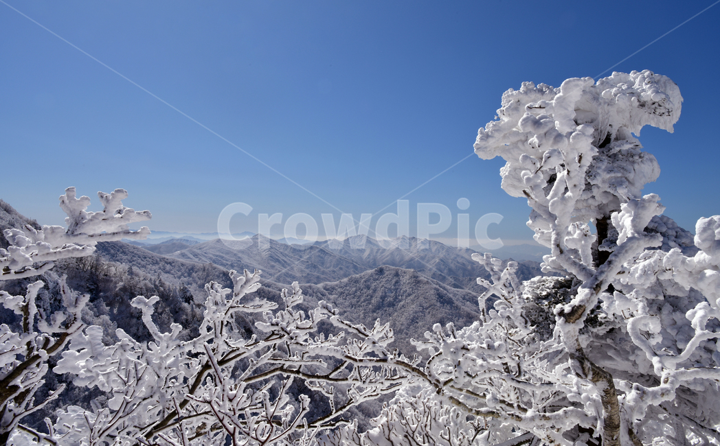 nature,자연,snow,눈,snowflower,winter,덕유산,눈꽃,겨울,겨울,계절,winter,season
