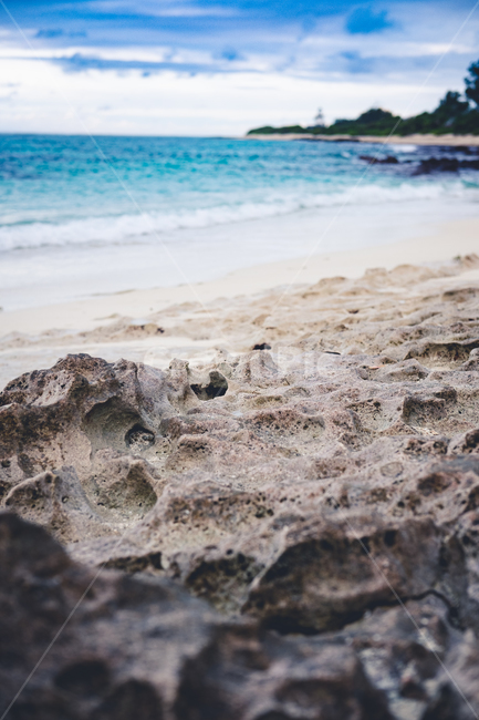 해변,바닷가,seychelles,셰이셀,인도양,디로셰섬,산호해변,산호