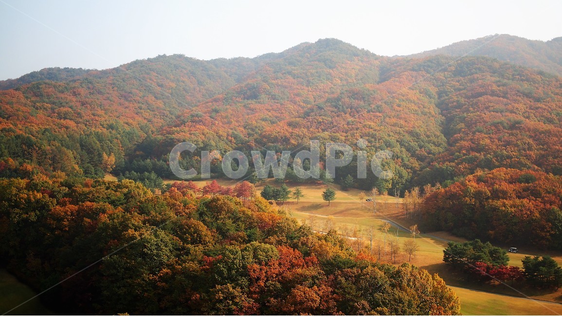 가을산,가을,단풍,여행,원주,풍경,자연,알록달록,아침,엽서,감성,강원도,숲,nature,가을,계절,fall,autumn,season,자연,풍경,nature,landscape,한국자연풍경,한국자연경관,korea nature landscape,outdoors,옥외,scenery,tree,나무,plant,식물