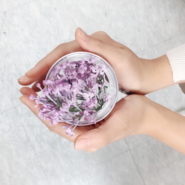 꽃,손,라일락,라일락꽃,식물,hand,flower,lilac,봄꽃,연보라색,꽃,flower,사람,인물,인간,human,person,신체일부,몸,body