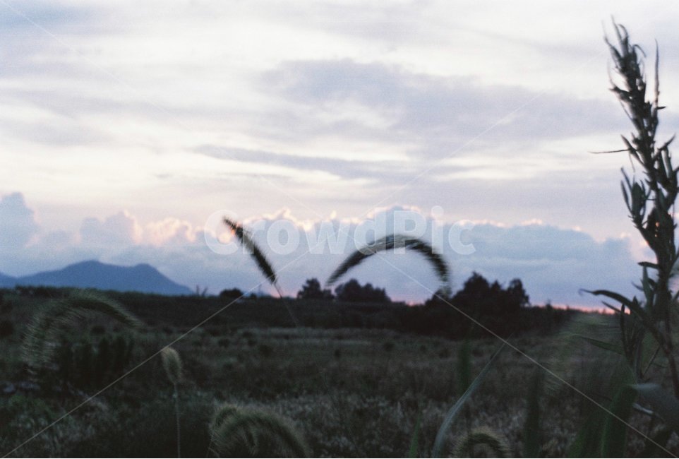 필름카메라,아날로그,자연,가을,노을,자연,풍경,nature,landscape,adventure,모험,leisure activities,레저 활동,outdoors,옥외