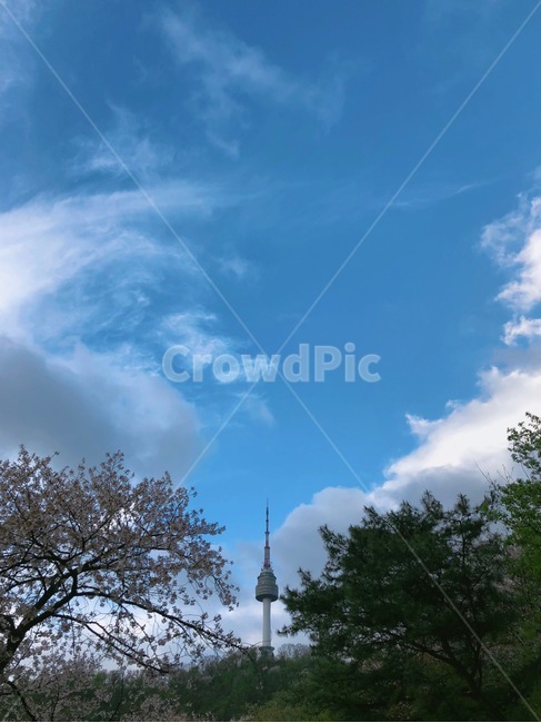 엔서울타워,n서울타워,서울타워,랜드마크,nseoultower,seoultower,nature,자연,weather,날씨,outdoors,옥외,steeple,뾰족한탑,building,건물,spire,첨탑,architecture,건축물,tower,탑,하늘,구름,sky,cloud,나무,벚꽃,tree,blossom